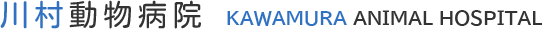 東京都北区の動物病院 川村動物病院　ホームへ